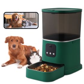 Pet Feeder (Color: Green)